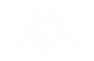 Aeon